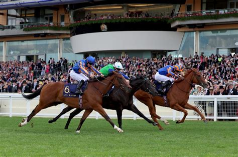 albany stakes tips|14:30 .